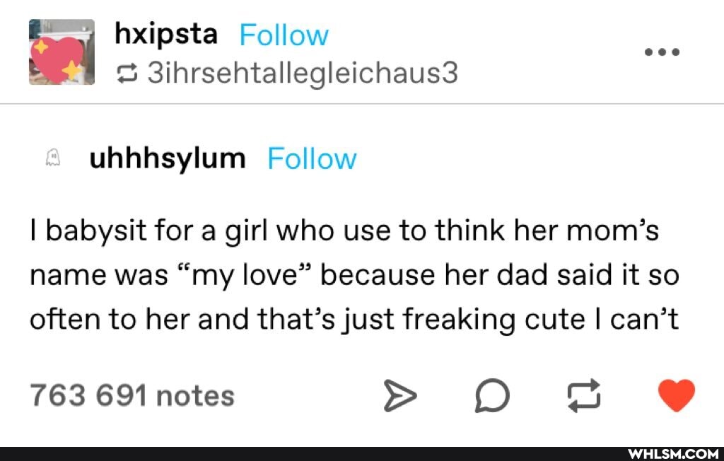 hxipsta Follow
3ihrsehtallegleichaus3
Follow
I babysit for a girl who use to think her mom's name was "my love" because her dad said it so often to her and that's just freaking cute I can't
763 691 notes > OO