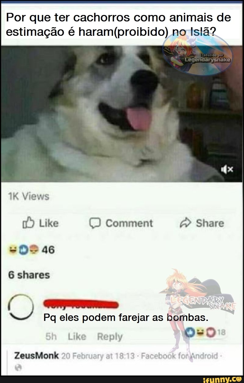 Por que ter cachorros como animais de
estimação é haram(proibido) no Islã?
dl
Pq eles podem farejar as bombas.
Like Reply
pede