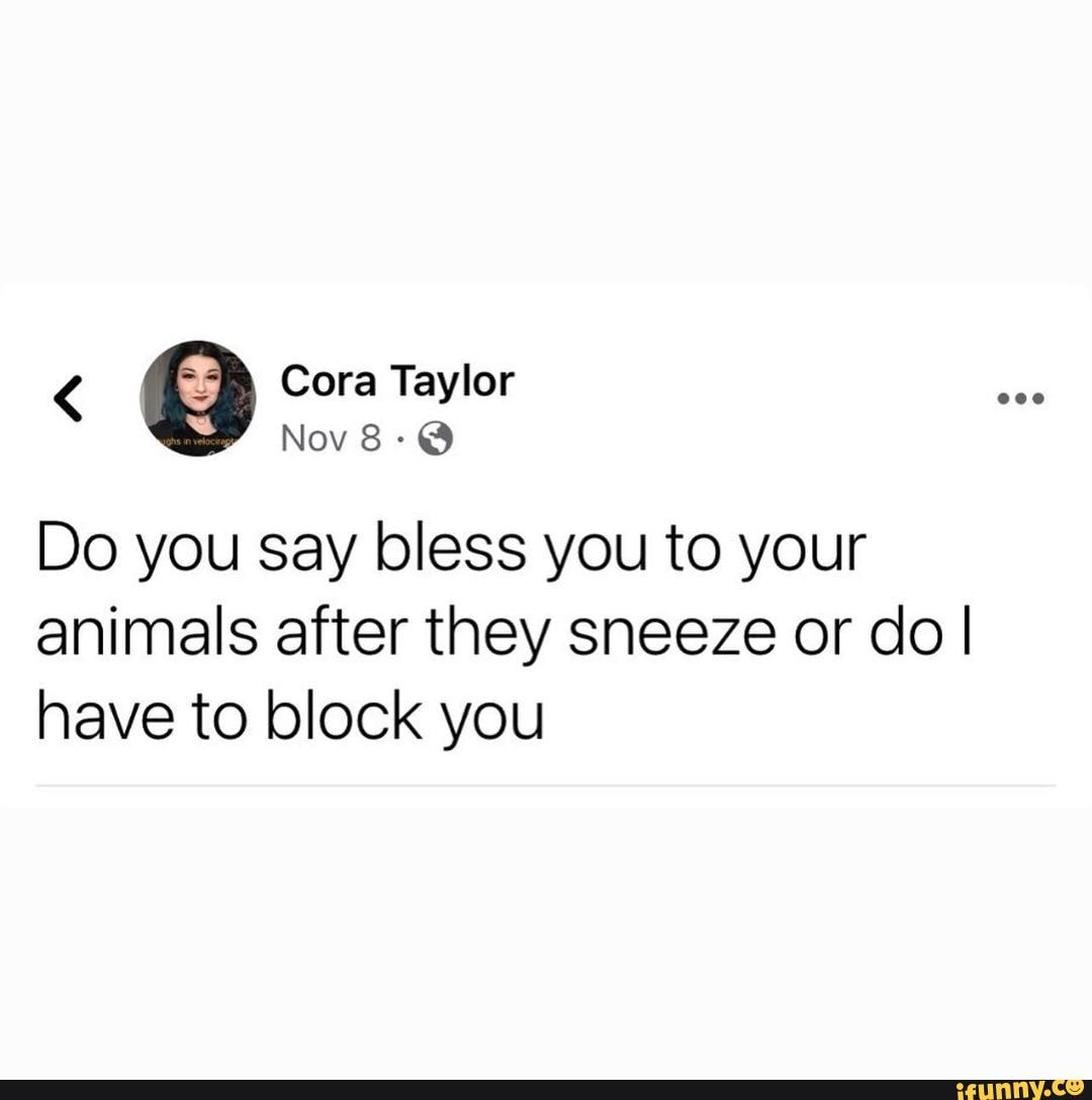 Cora Taylor Nov Do You Say Bless You To Your Animals After They Sneeze
