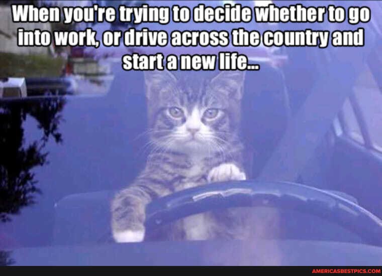 When yourre trying to decide whether to yo into work. or drive across the-country and start a new life...