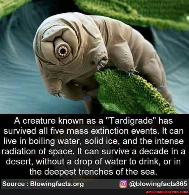 A creature known as a "Tardigrade" has survived all five mass extinction events. It can live in boiling water, solid ice, and the intense radiation of space. It can survive a decade ina desert, without a drop of water to drink, or in
the deepest trenches of the sea.
Source : wingfacts.arg @blowingfacts365
