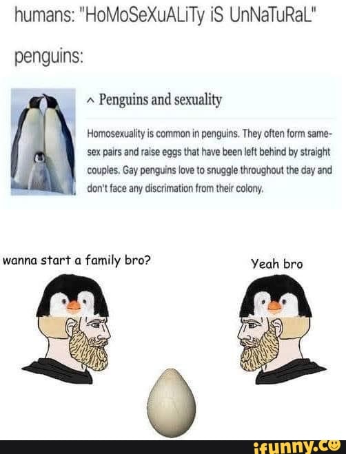 humans: "HoMoSeXuALiTy iS UnNaTuRaL" penguins:
Penguins and sexuality
Homosexuality is common in penguins. They often form same- sex pairs and raise eggs that have been left behind by straight couples. Gay penguins love to snuggle throughout the day and don't face any discrimation from their colony,
Yeah bro
wanna start a family bro?