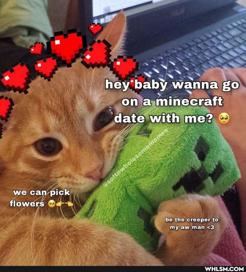 hey baby wanna go ona minecraft date with me?
we can pick flowers
be the creeper to my aw man <3