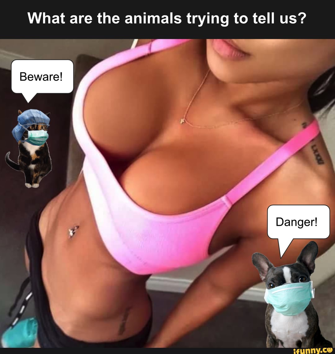 What are the animals trying to tell us?
Danger!
Beware!