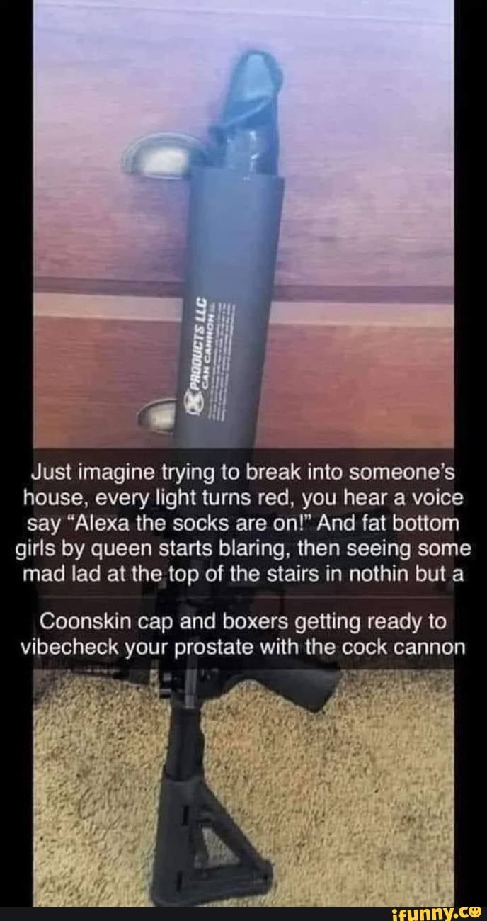 Just imagine trying to break into someone's house, every light turns red, you hear a voice
say "Alexa the socks are on!" And fat bottom girls by queen starts blaring, then seeing some mad lad at the top of the stairs in nothin but a
Coonskin cap and boxers getting ready to vibecheck your prostate with the cock cannon