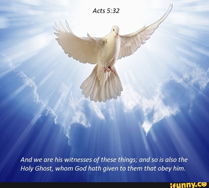 Acts And we are his witnesses of these things; and so is also the Holy ...