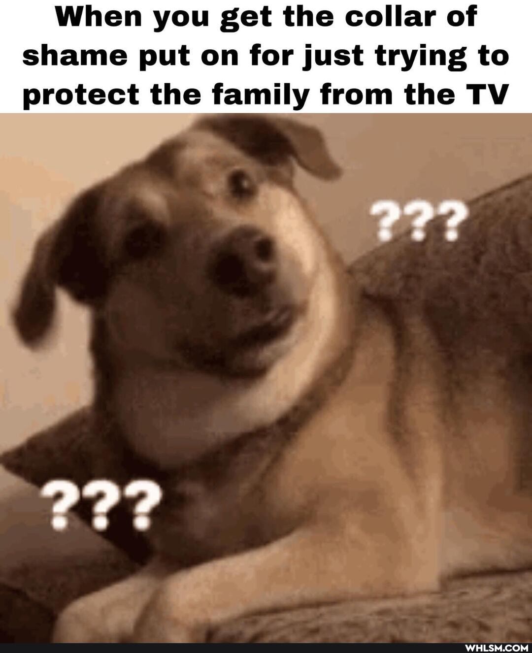 When you get the collar of shame put on for just trying to protect the family from the TV