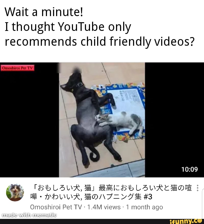 Wait A Minute I Thought Youtube Only Recommends Child Friendly Videos Omoshiroi Pet Tv 1 Month Ago Ifunny