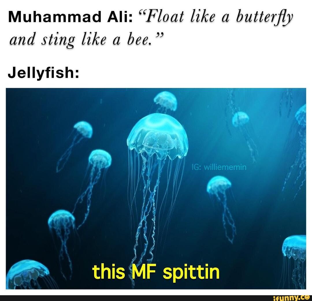 Lol Funny Meme Memes Dank Memes Muhammad Ali Float Like A Butterfly And Sting Like A Bee Spittin Jellyfish