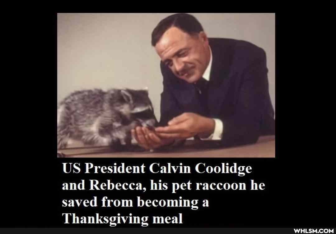 US President Calvin Coolidge and Rebecca, his pet raccoon he saved from becoming a
Thanksgiving meal