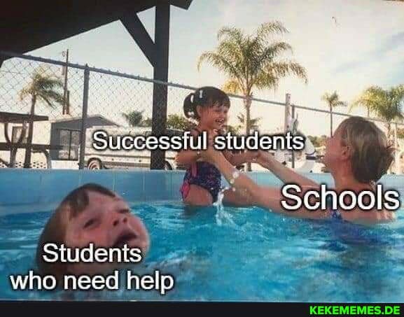 Successful Schools Students who need help