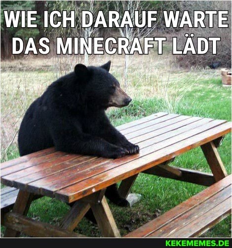 WIE EICH DARAUF JF WARTE I DAS MINECRAFT LÄDT