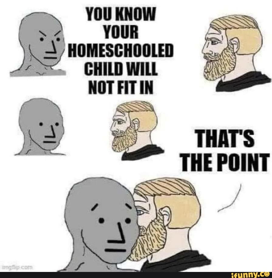 you-know-your-homeschooled-child-will-ifunny