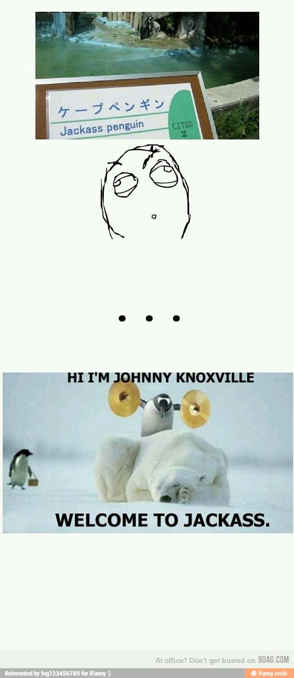 a
WELCOME
TO JACKASS