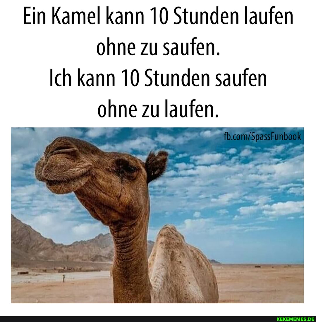 Ein Kamel kann 10 Stunden laufen ohne zu saufen.
Ich kann 10 Stunden saufen ohne zu laufen.