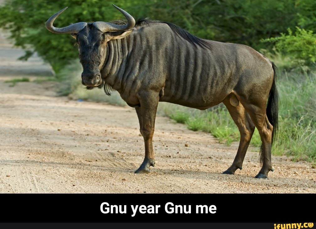 Gnu year Gnu me - Gnu year Gnu me