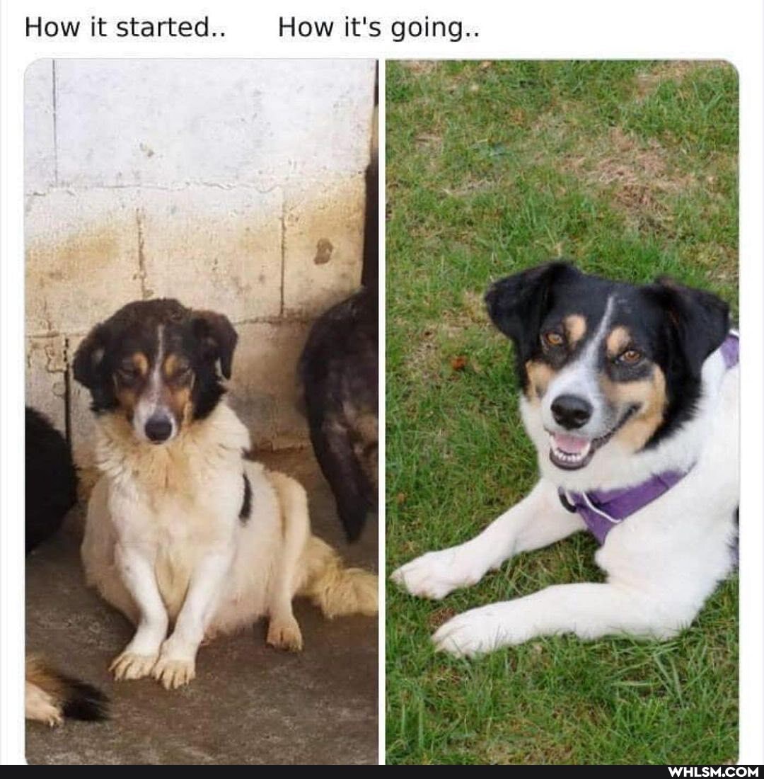 How it started.. How it's going..