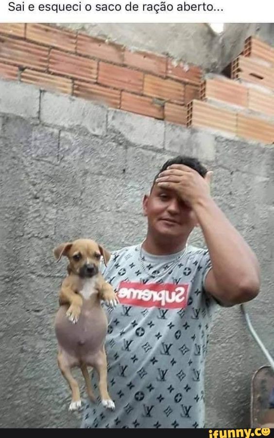 Sai e esqueci o saco de ração aberto...
dy