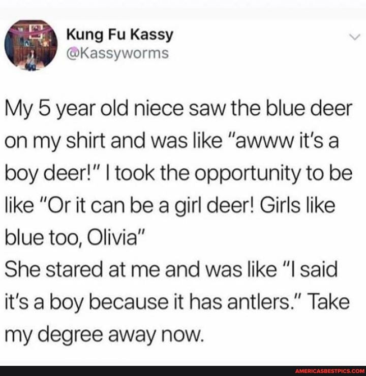 Kung Fu Kassy
@Kassyworms
My 5 year old niece saw the blue deer on my shirt and was like "awww it's a boy deer!" I took the opportunity to be like "Or it can be a girl deer! Girls like blue too, Olivia"
She stared at me and was like "I said it's a boy because it has antlers." Take my degree away now.