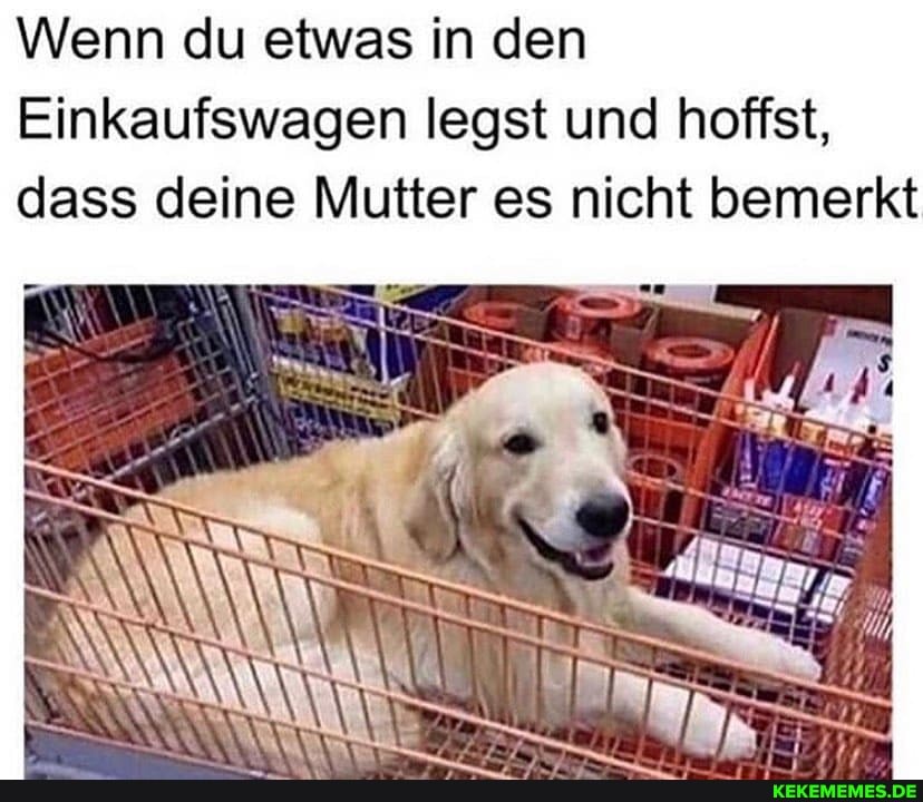 Wenn du etwas in den
Einkaufs
legst und hofist,
wagen
dass deine Mutter es nicht bemerkt