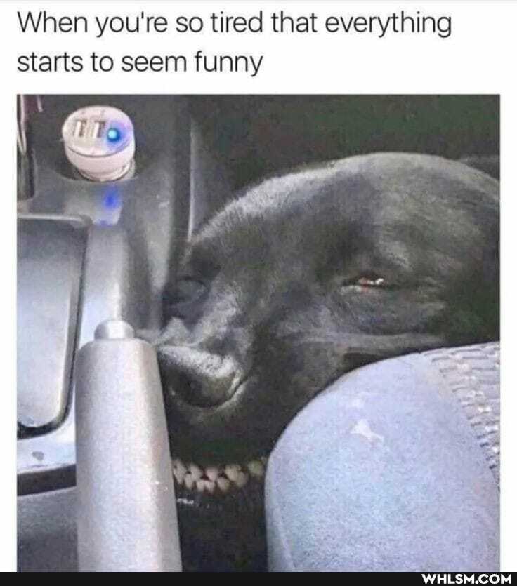 When you're so tired that everything starts to seem funny