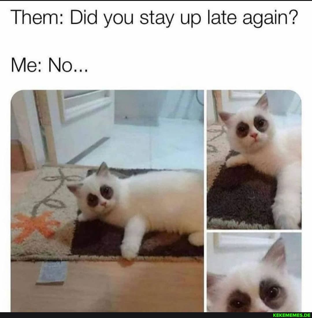 Them: Did you stay up late again?
Me: No...