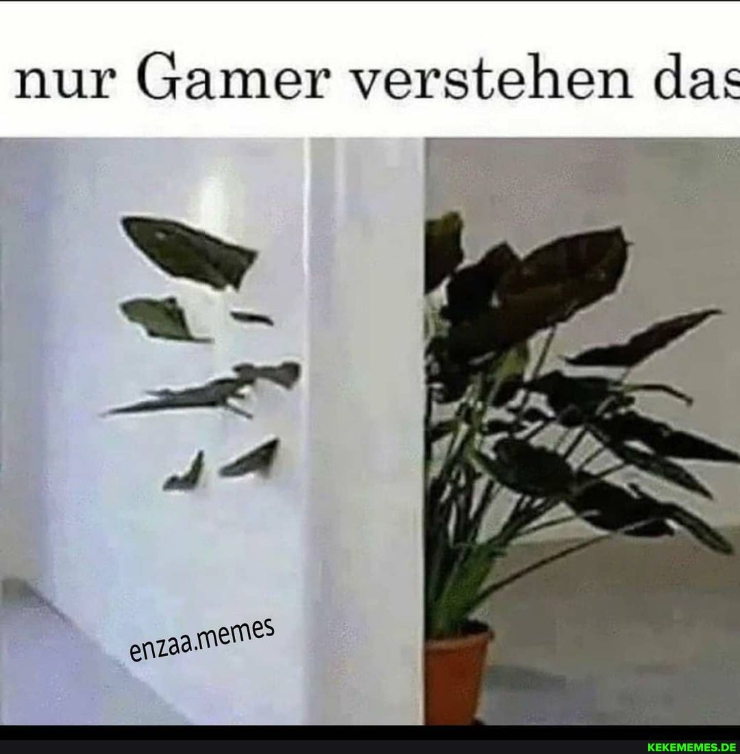 nur Gamer verstehen das
4: