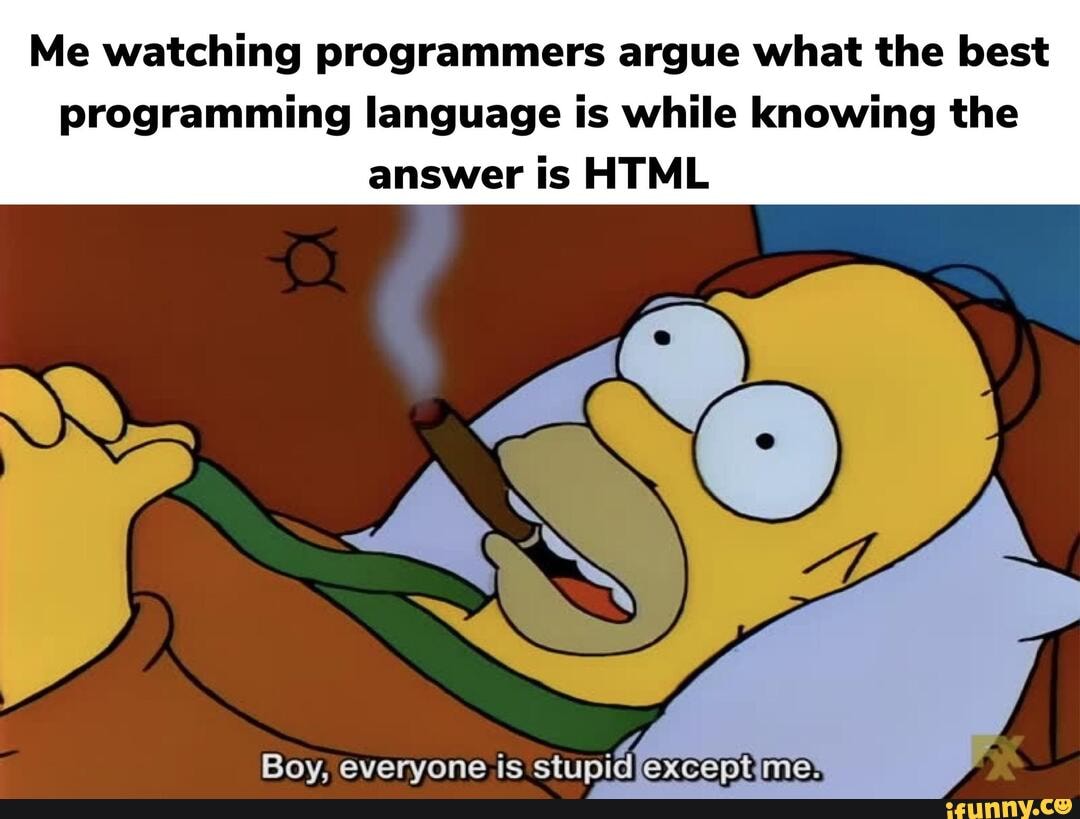 Me watching programmers argue what the best programming language is ...