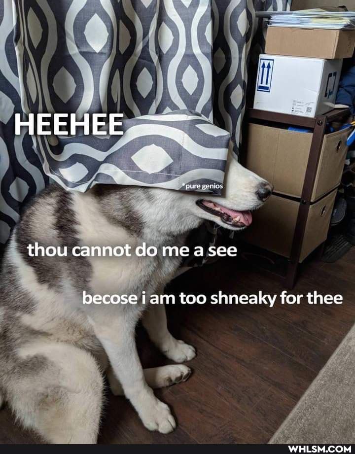 HEEHEE
thou cannot do me a see
becose iam too shneaky for thee