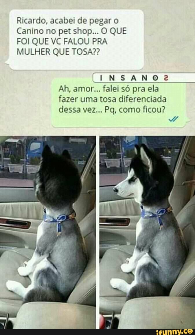 Ricardo, acabei de pegar o
Canino no pet shop... O QUE
FOI QUE VC FALOU PRA
MULHER QUE TOSA??
CEM ERES
Ah, amor... falei só pra ela
fazer uma tosa diferenciada
dessa vez... Pq, como ficou?
4