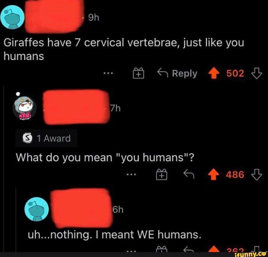 Giraffes have 7 cervical vertebrae, just like you humans Award Reply # 502