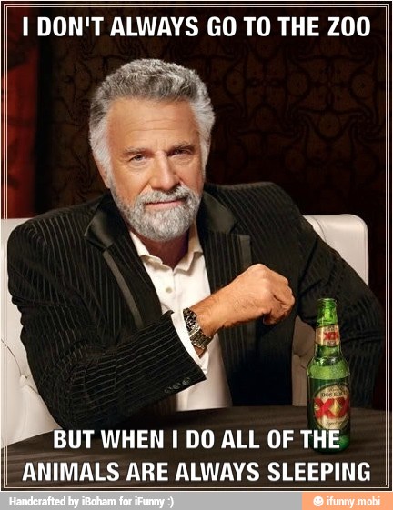 I DON'T ALWAYS GO TO THE Z00
BUT WHEN I DO ALL OF
wit
ANIMALS ARE ALWAYS SLEEPING