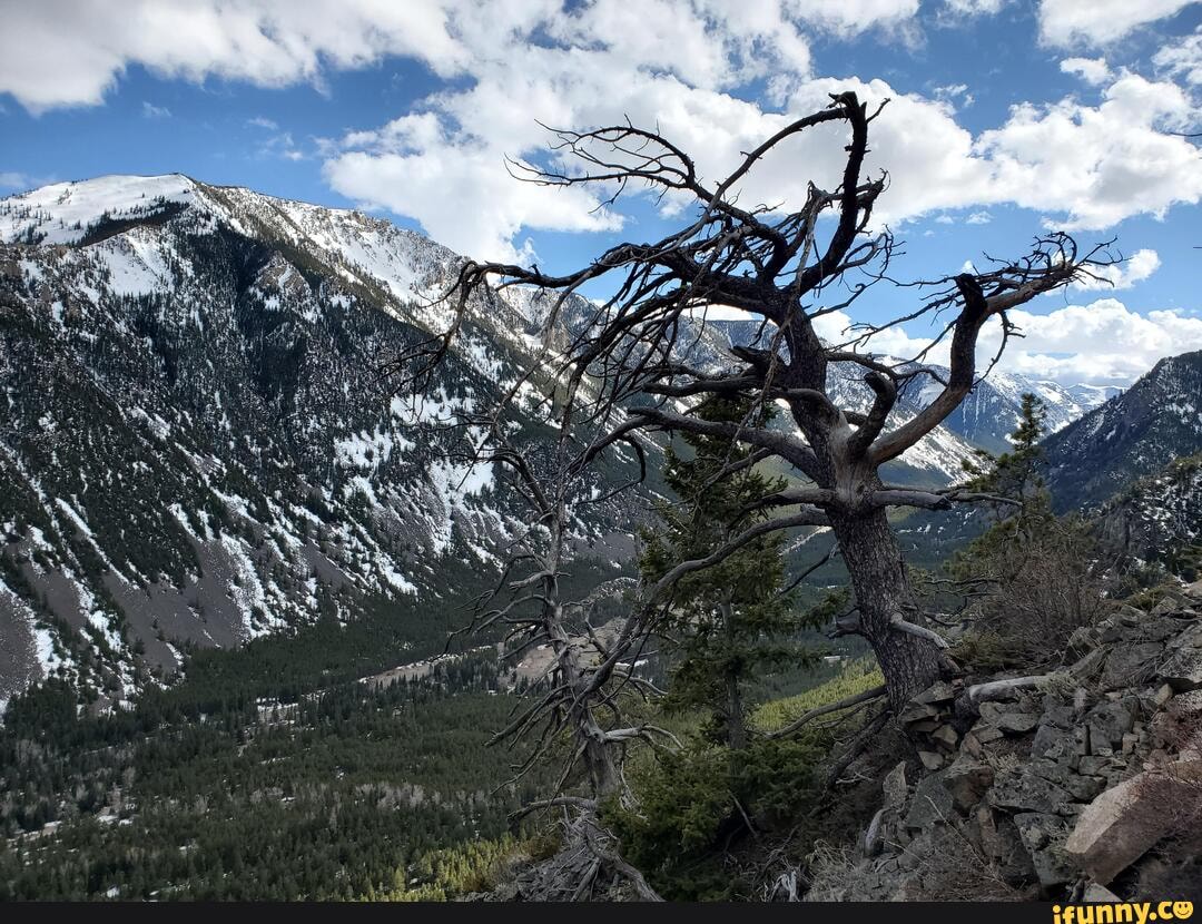 beartrack, absaroka, beartooth, 4032, 3024