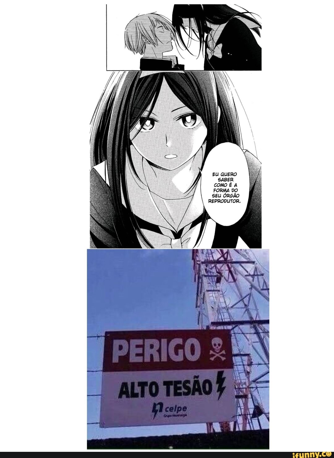 EU QUERO SABER COMO É À FORMA DO
SEU ÓRGÃO REPRODUTOR.