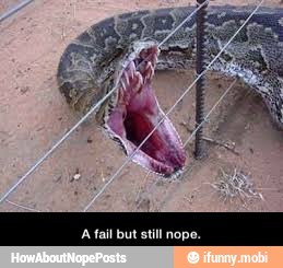 A fail but still nope.
