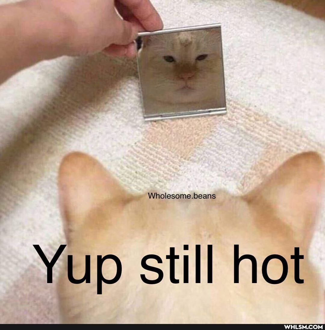 Wholesome.beans
Yup still hot
