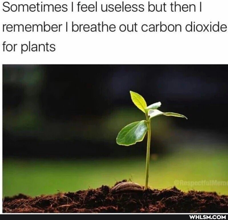 Sometimes I feel useless but then I remember I breathe out carbon dioxide
for plants