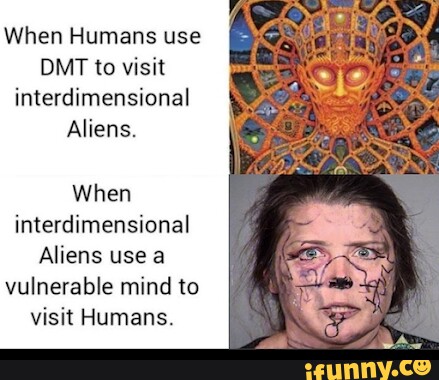 When Humans use DMT to visit interdimensional Aliens. When ...