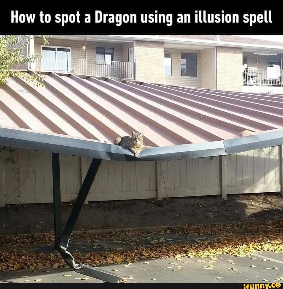 How to spot a Dragon using an illusion spell