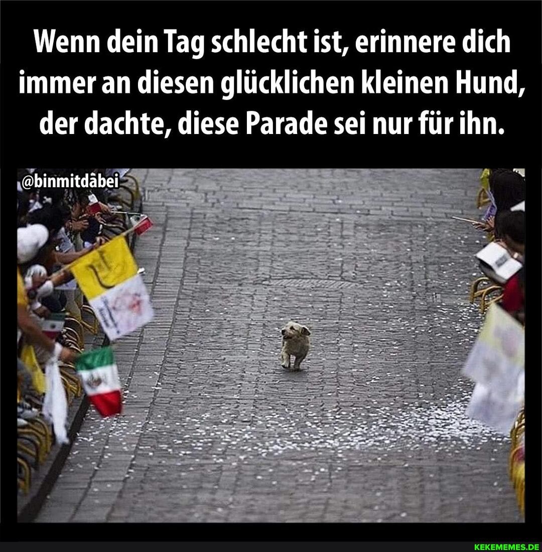 Wenn dein Tag schlecht ist, erinnere dich immer an diesen glücklichen kleinen Hund, der dachte, diese Parade sei nur für ihn.
"@binmitdäbei