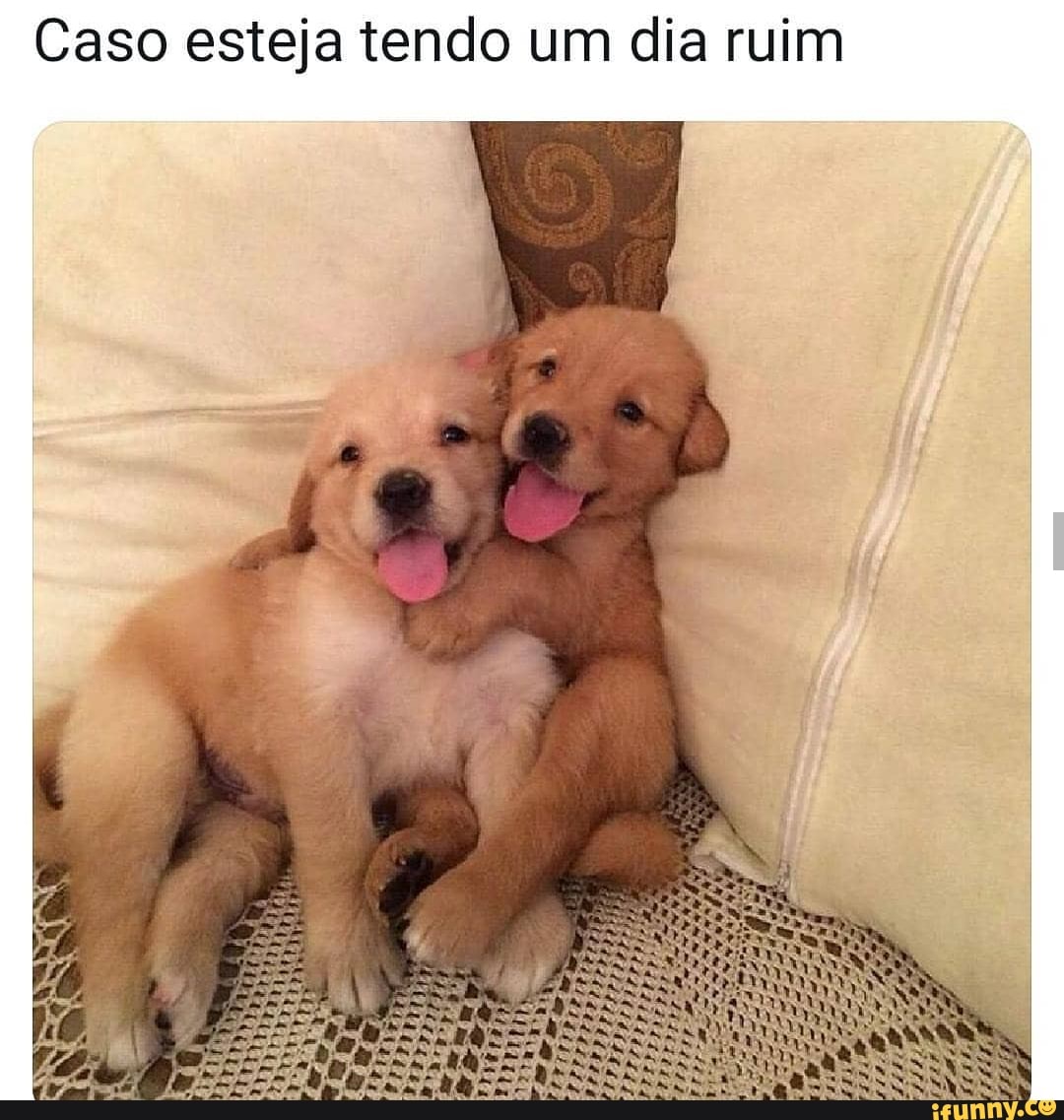 IM ja rui Caso esteja tendo um d