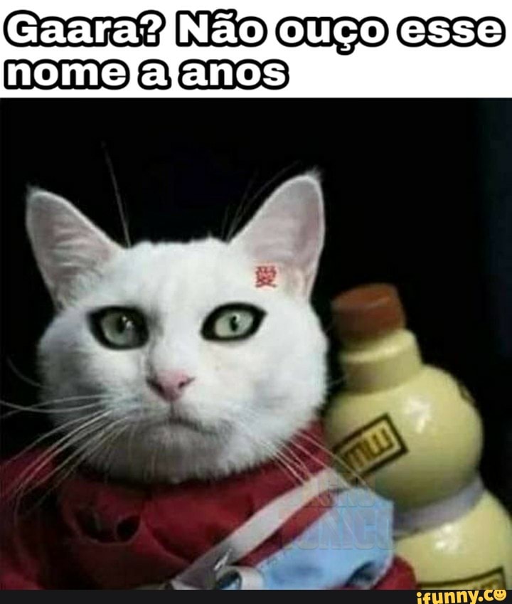 gatos, gato, cat, gaara, anime, animes, animemesbr, naruto, narutoshippuden, narutomemes