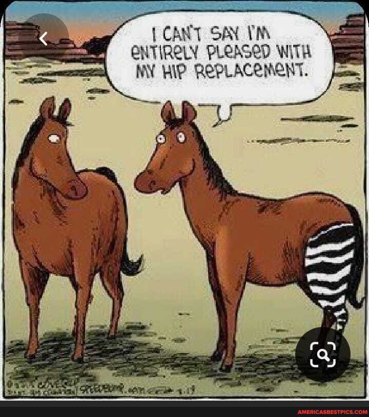 CANT SAY TN ENTIRELY PLEASED WITH NY HIP REPLACEMENT.