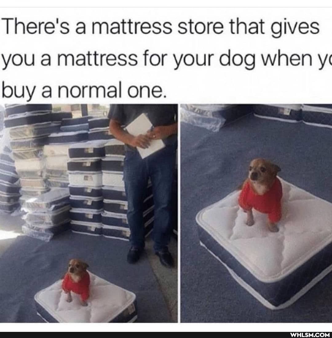 There's mattress store that gives
you mattress for your clog when y" buy normal one.
