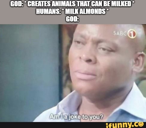 GOD: CREATES ANIMALS THAT CAN BE MILKED HUMANS: MILK ALMONDS GOD: you% -  