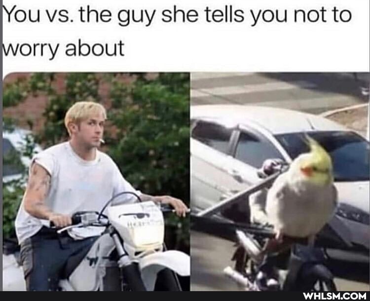 You vs. the guy she tells you not to orry about