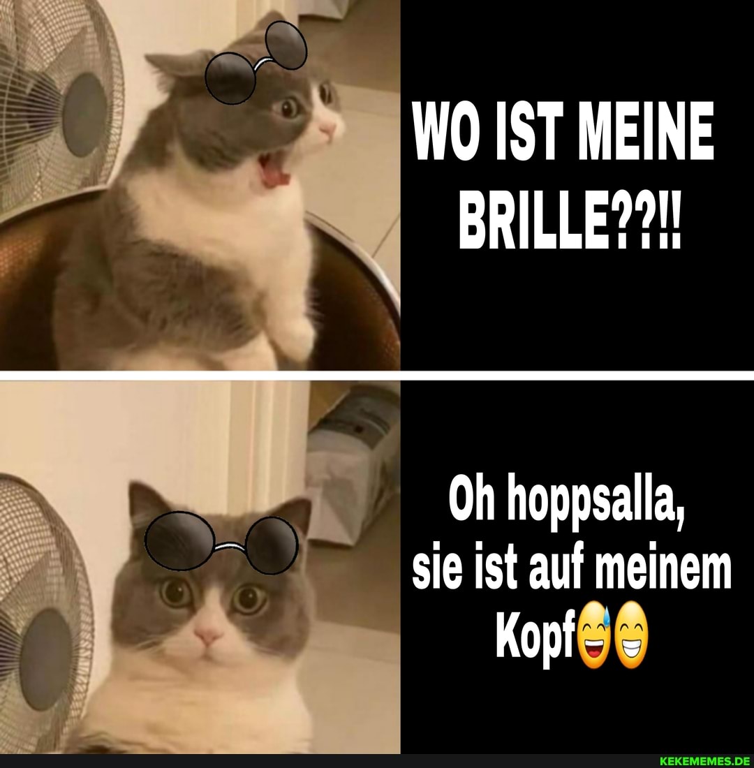 WO IST MEINE BRILLE??!!
Oh hoppsalla, sie ist auf meinem
Kopf -