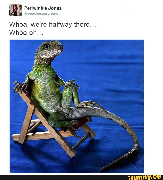 a
Whoa, we're halfway there...