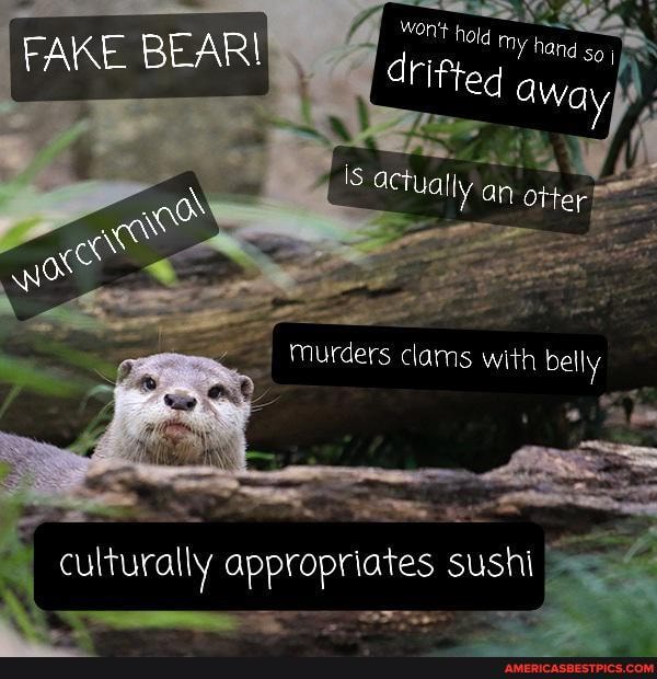 EAR Hold my hand I FAKE B drifted away
Is actualty an otter
Murders clais with beny
culturally appropriates sushi