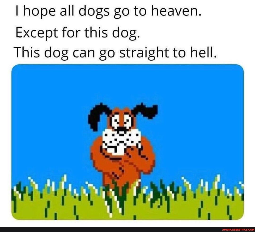 I hope all dogs go to heaven. Except for this dog. This dog can go